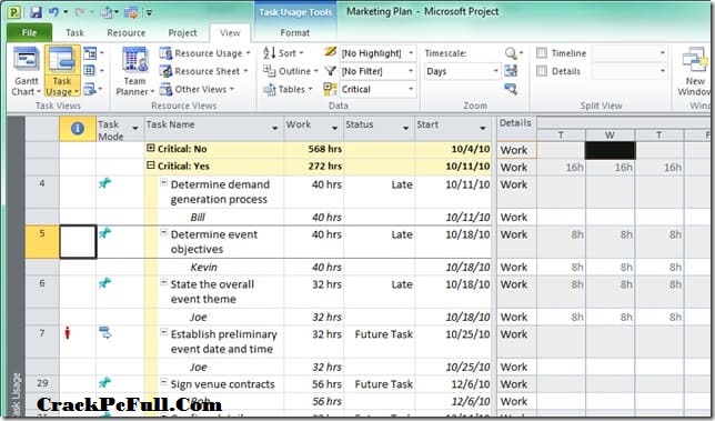 microsoft project download crack