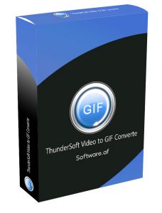 ThunderSoft Video to GIF Converter Crack