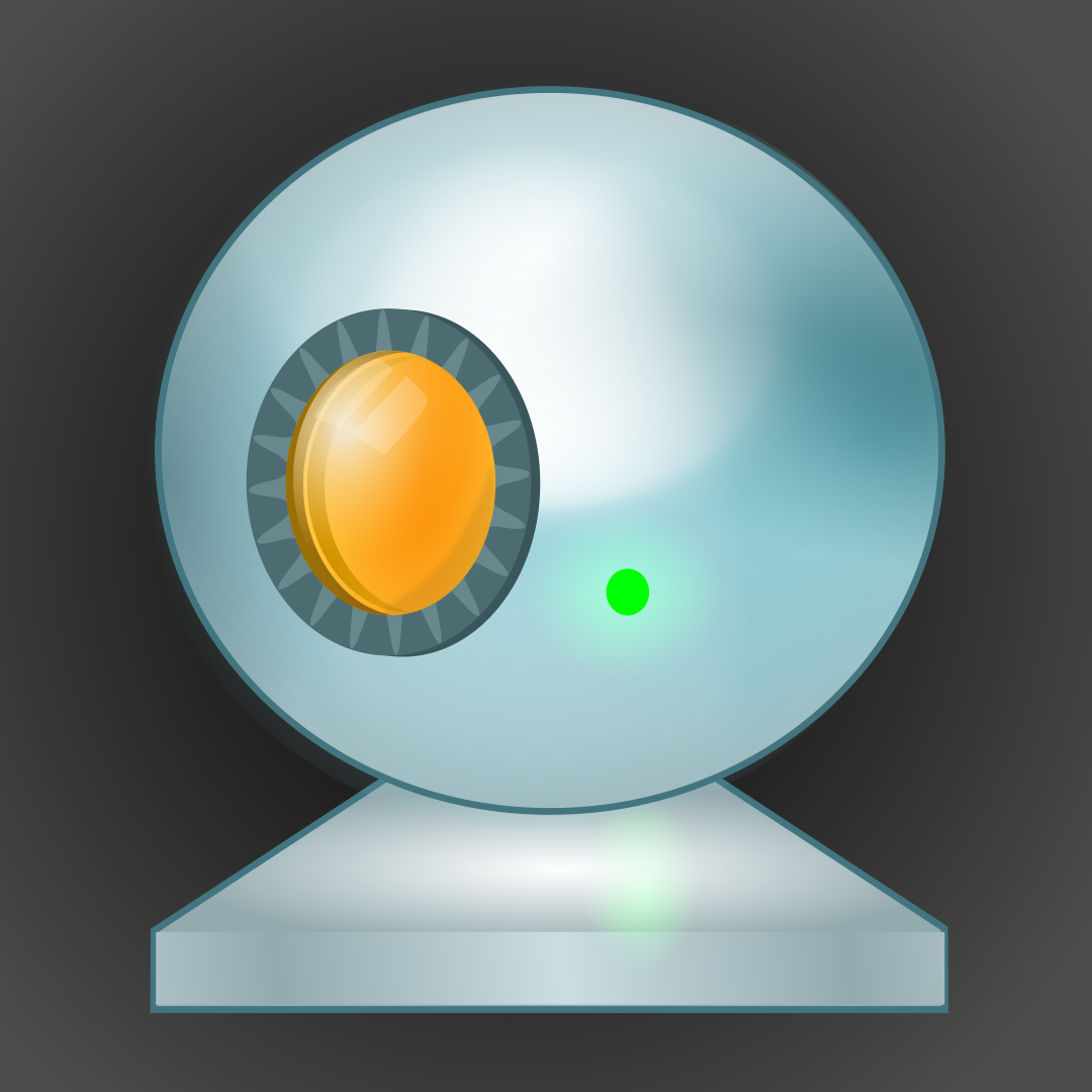 Webcam Surveyor Crack